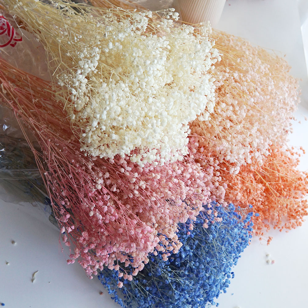 Home Office Bleaching - 50g/colorido natural preservado seco babysbreath gypsophila