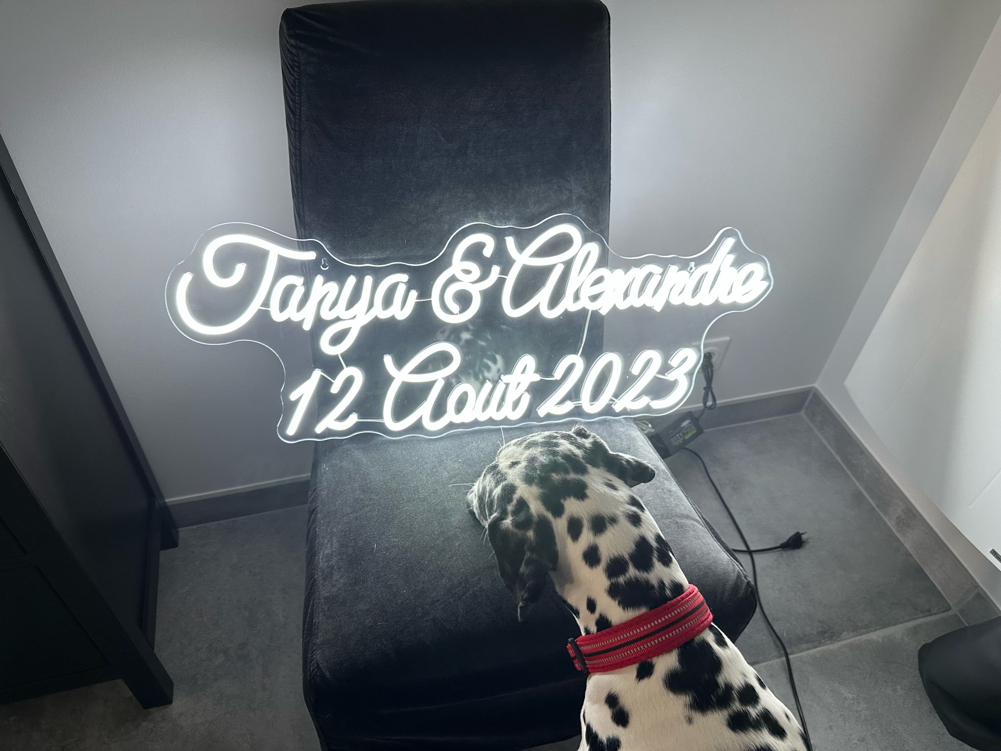 Sinal de luz LED personalizado - Home Office Logo avaliação e preço